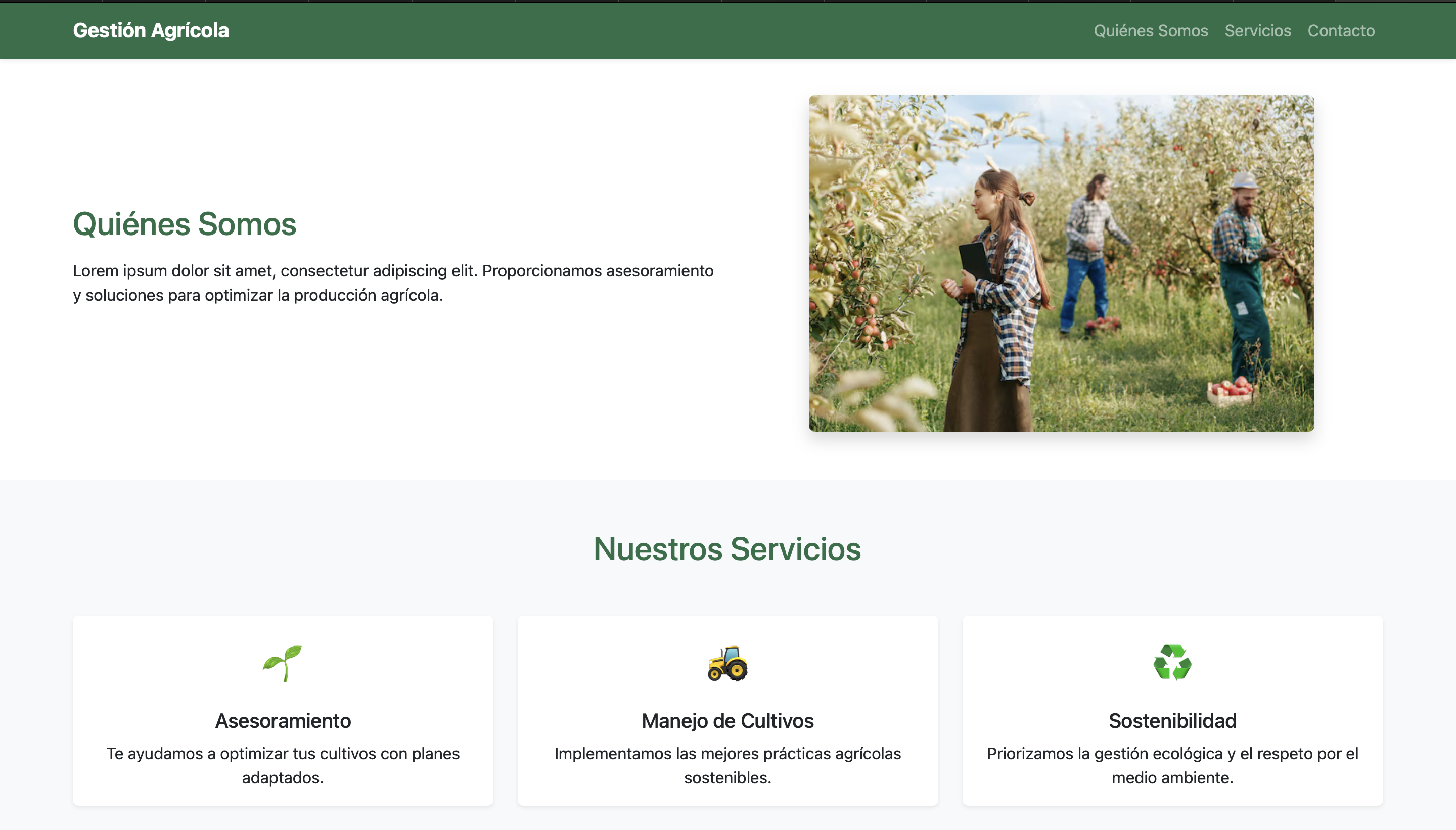 Proyecto web 3
